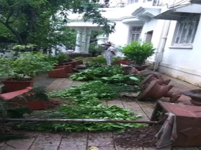 broke Rajgriha