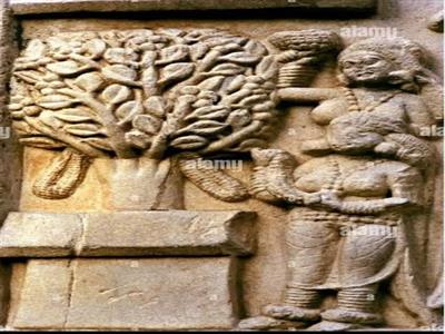 जेष्ठ पुर्णिमा अर्थात बौद्ध वटपुर्णिमा
