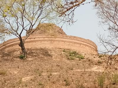 केसरिया बौद्ध स्तूप