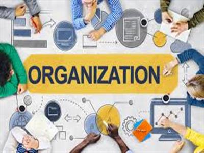 Organization